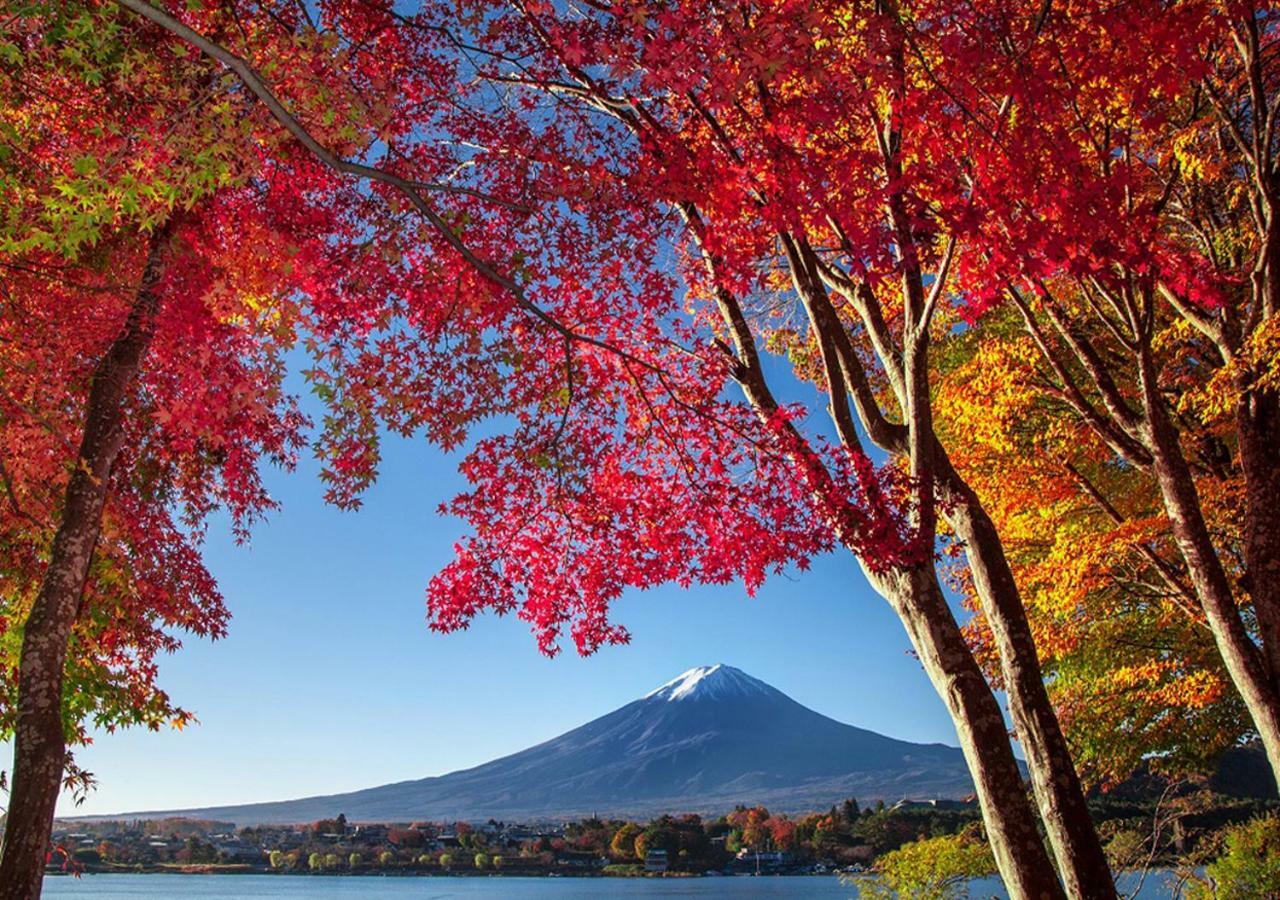 Willa 富士山金魚 Fujisan Kingyo Fujikawaguchiko Zewnętrze zdjęcie